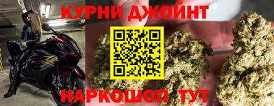 гидропоника Краснознаменск