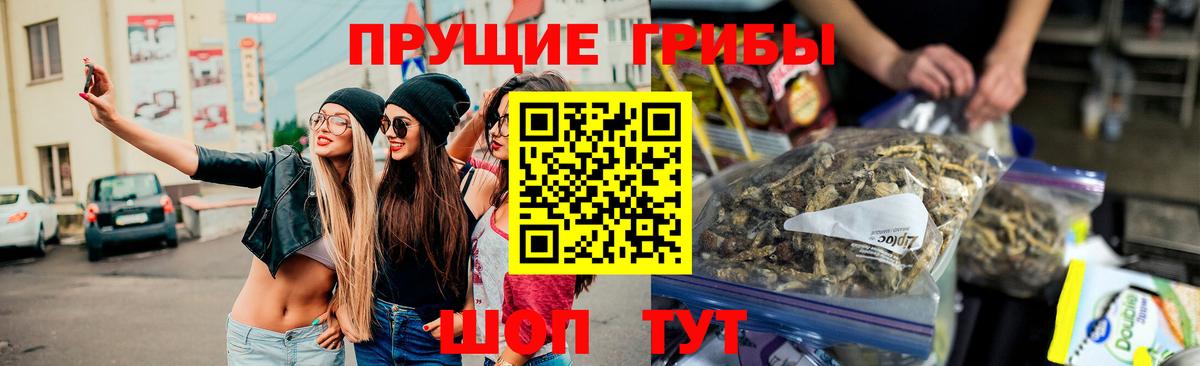 Псилоцибиновые грибы мицелий Сочи