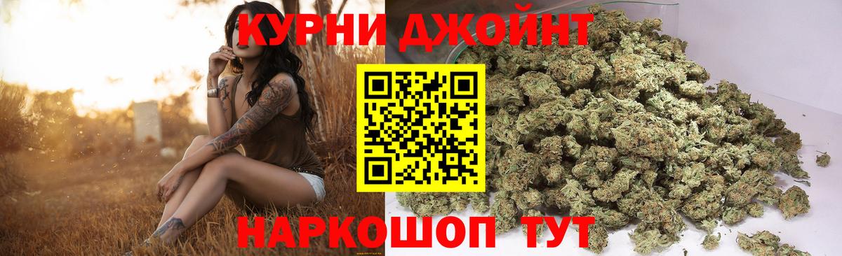 Бошки марихуана сатива Сочи