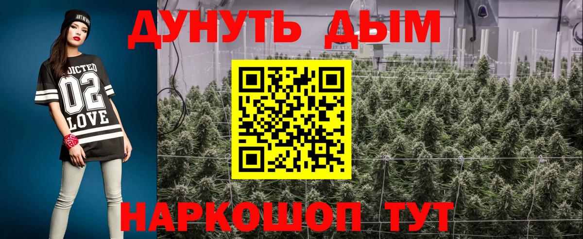 Конопля гибрид  Канабис SATIVA & INDICA  Вход с VPN  Канабис конопля  Сочи 